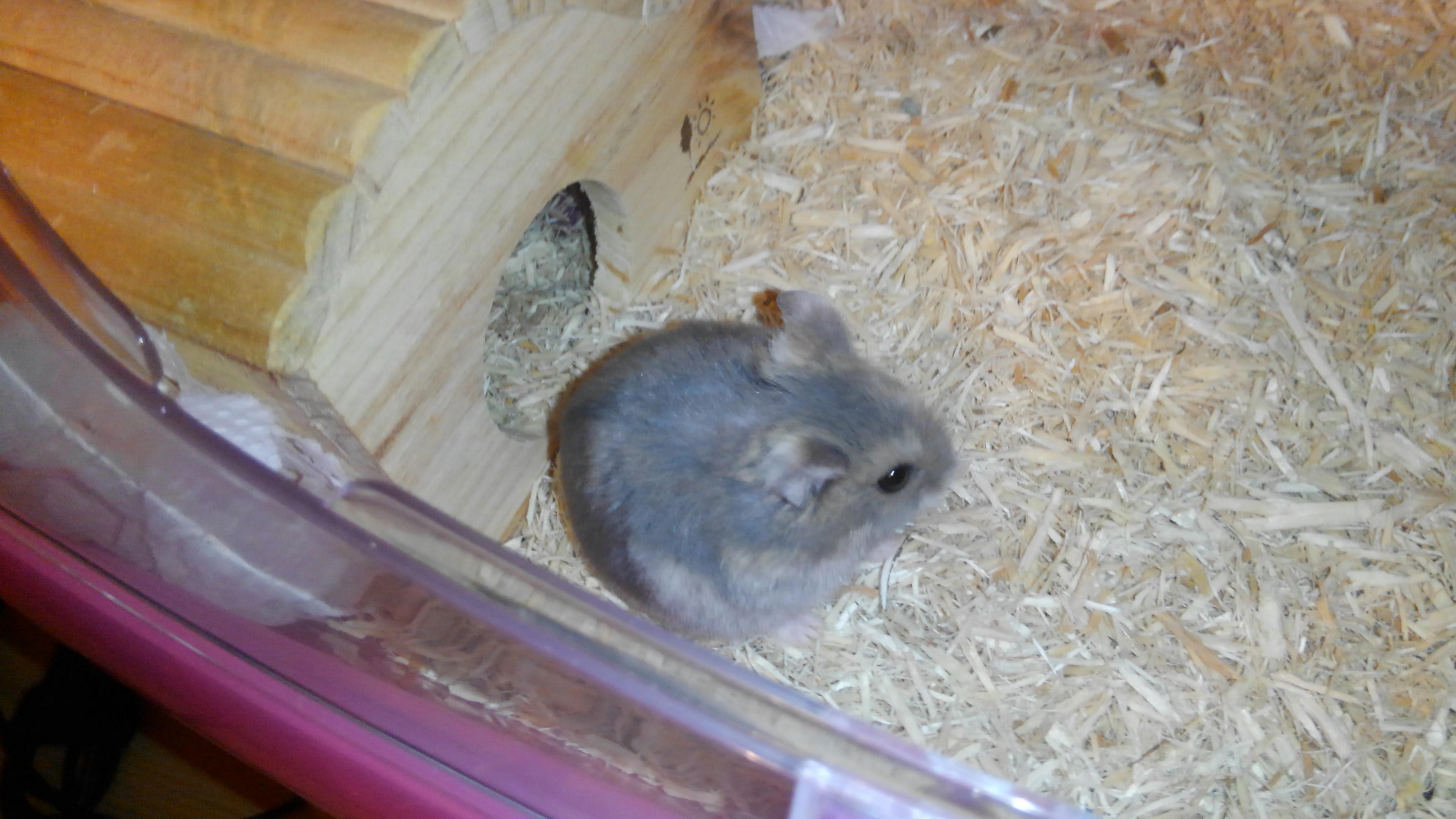 暮らしのハンドノート Com 暮らしのハンドノート Com